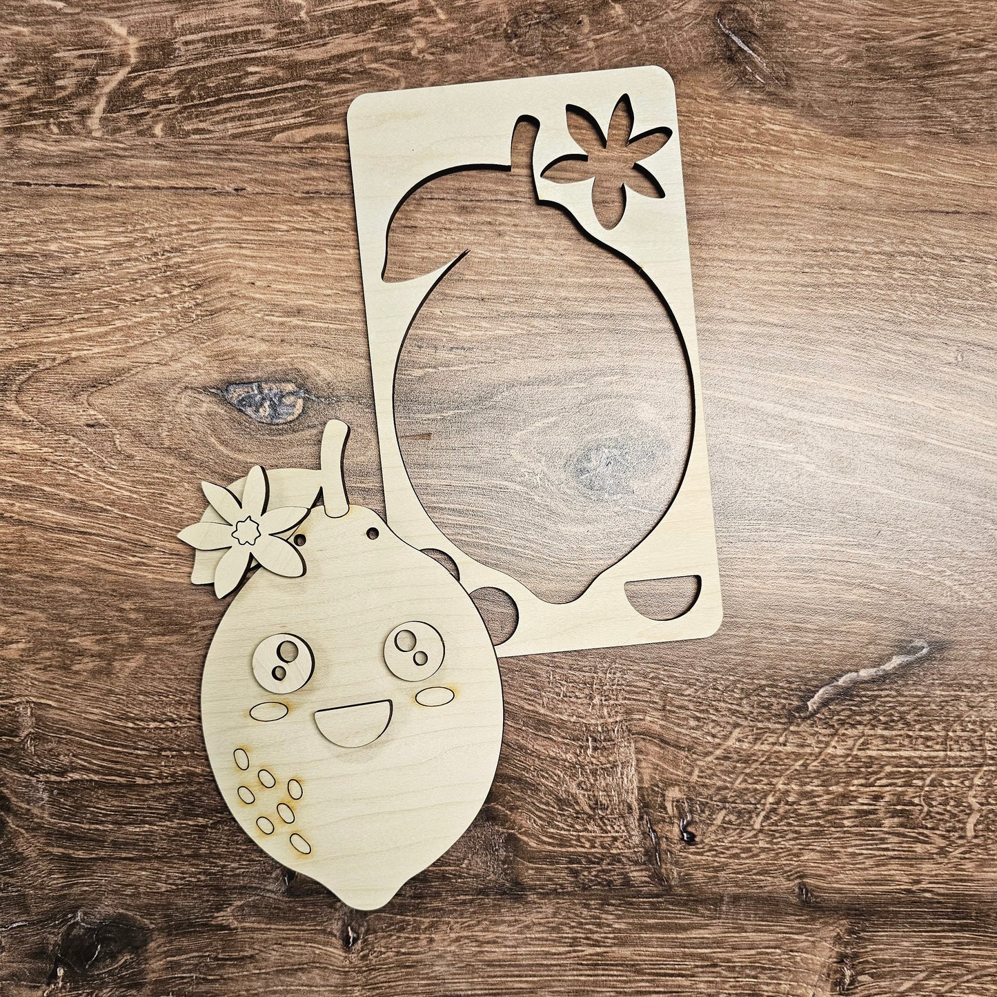 Little Lemon Kids DIY Kit